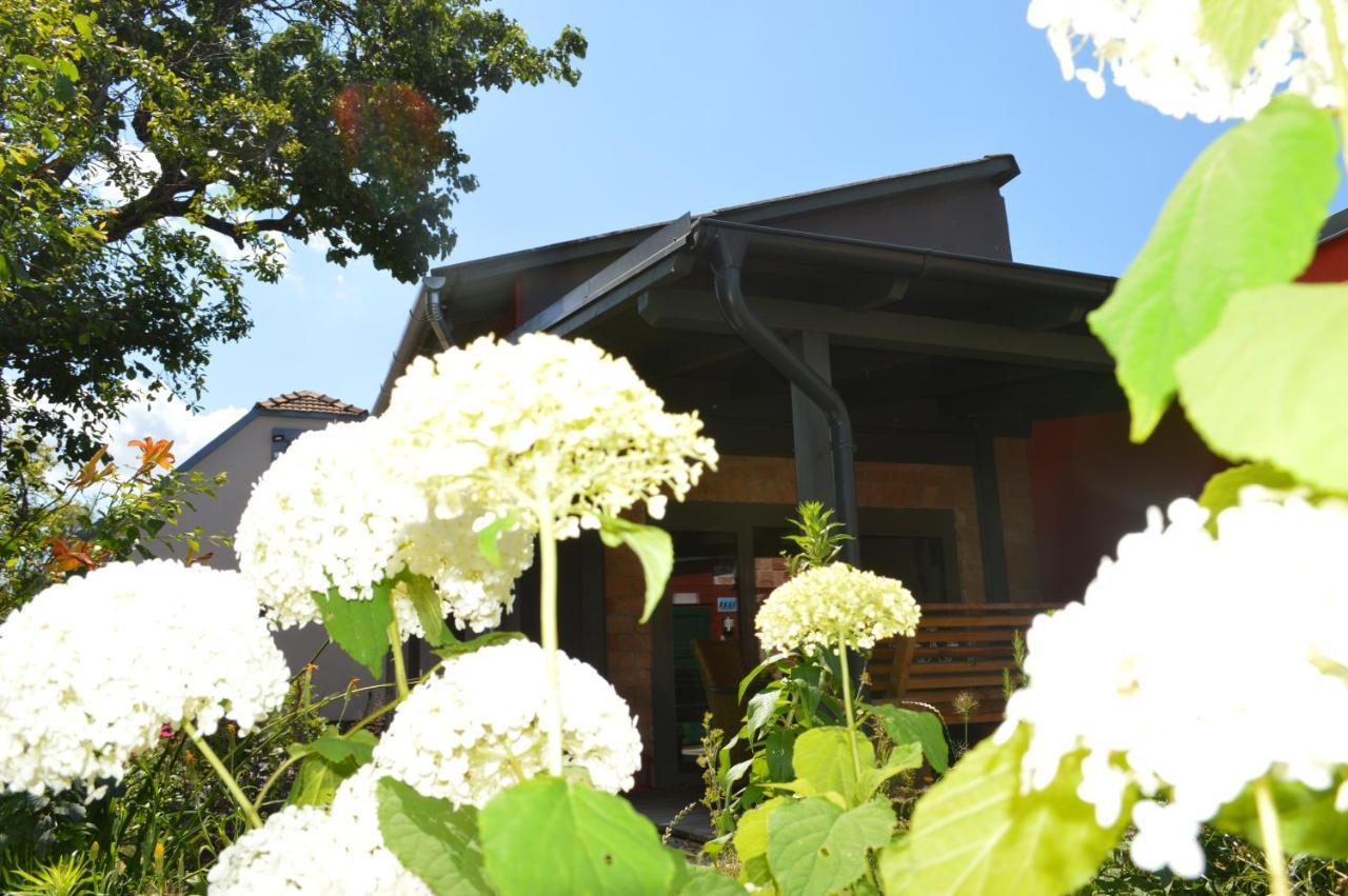 Bootshaus Villa Eisenstadt Eksteriør billede